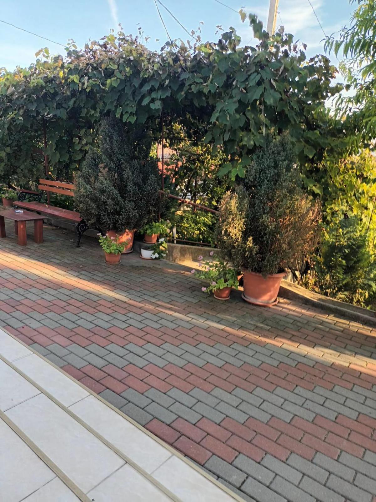 Casa Matei Turda Exterior foto